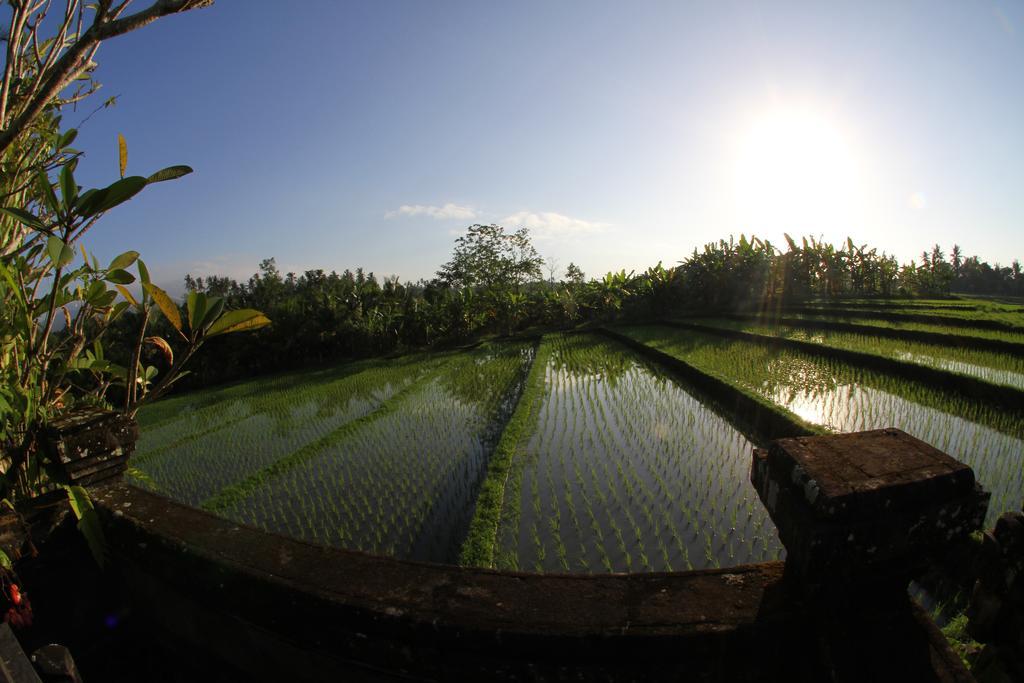 Villa Gede Private Guest House Selemadeg  Exterior photo