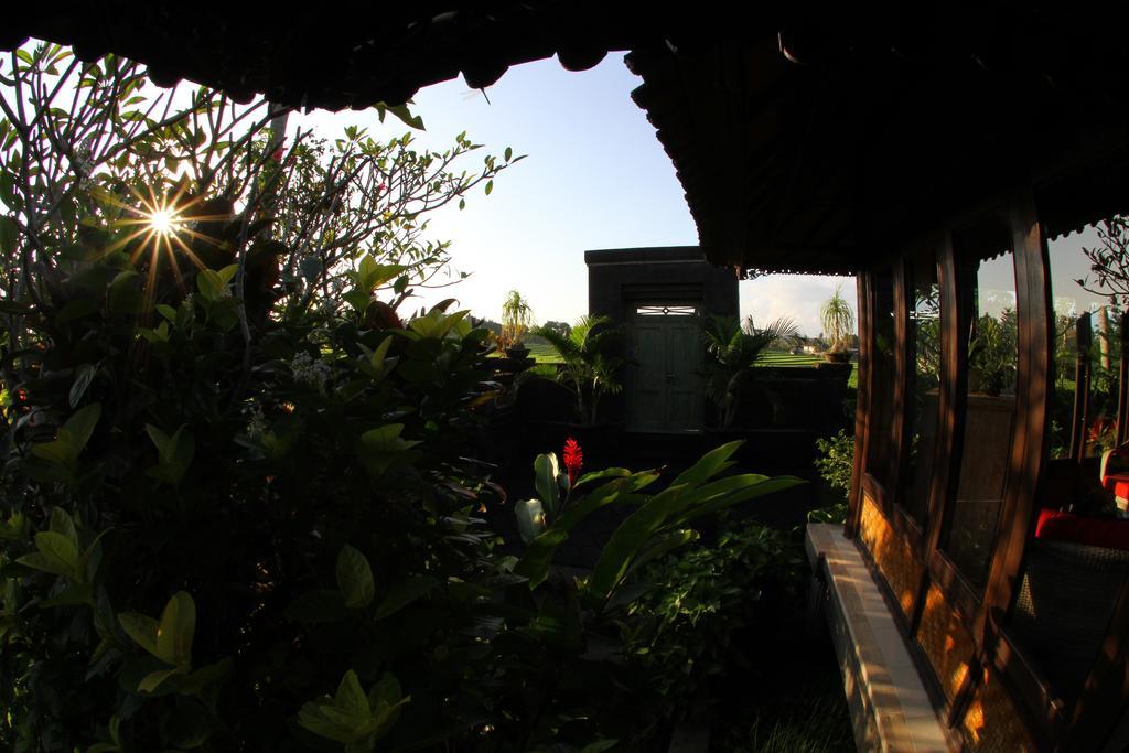 Villa Gede Private Guest House Selemadeg  Exterior photo