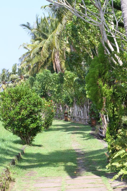 Villa Gede Private Guest House Selemadeg  Exterior photo